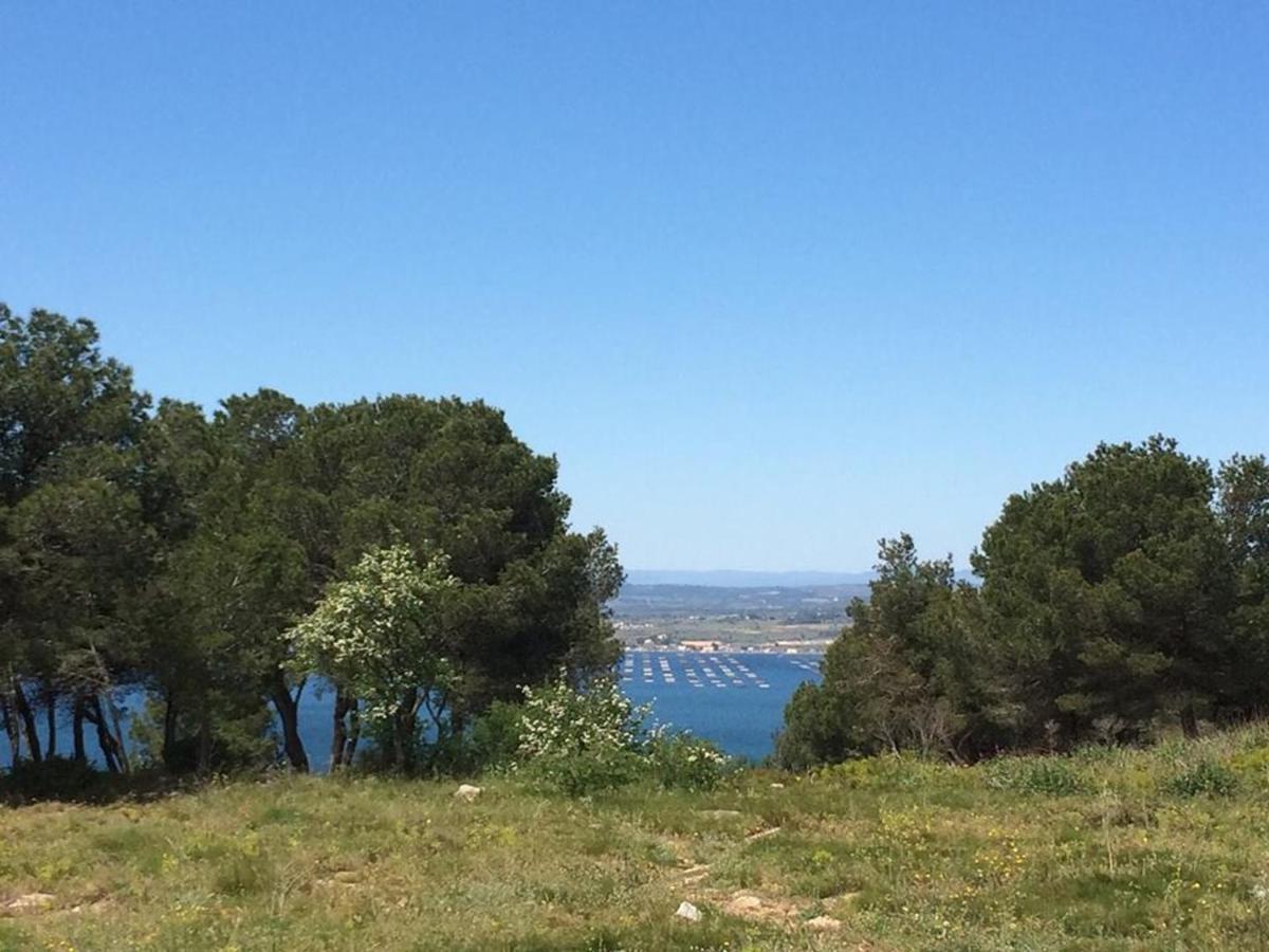 3P Climatise Avec Parking, Piscine, Proche Plage Et Commerces A Sete - Fr-1-338-497 Kültér fotó